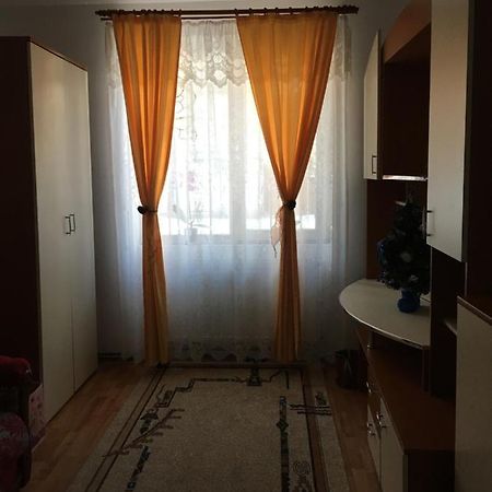 Simona Διαμέρισμα Topliţa Εξωτερικό φωτογραφία